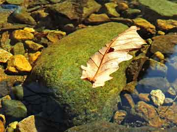 冠县青泥医院打胎药怎么样(青泥医院打胎药怎么样啊多少钱)